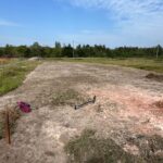Taman Cinta Lagenda - Site Update (6 Februari 2025)