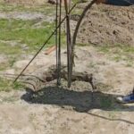 Taman Cinta Lagenda - Site Update (24 April 2025)
